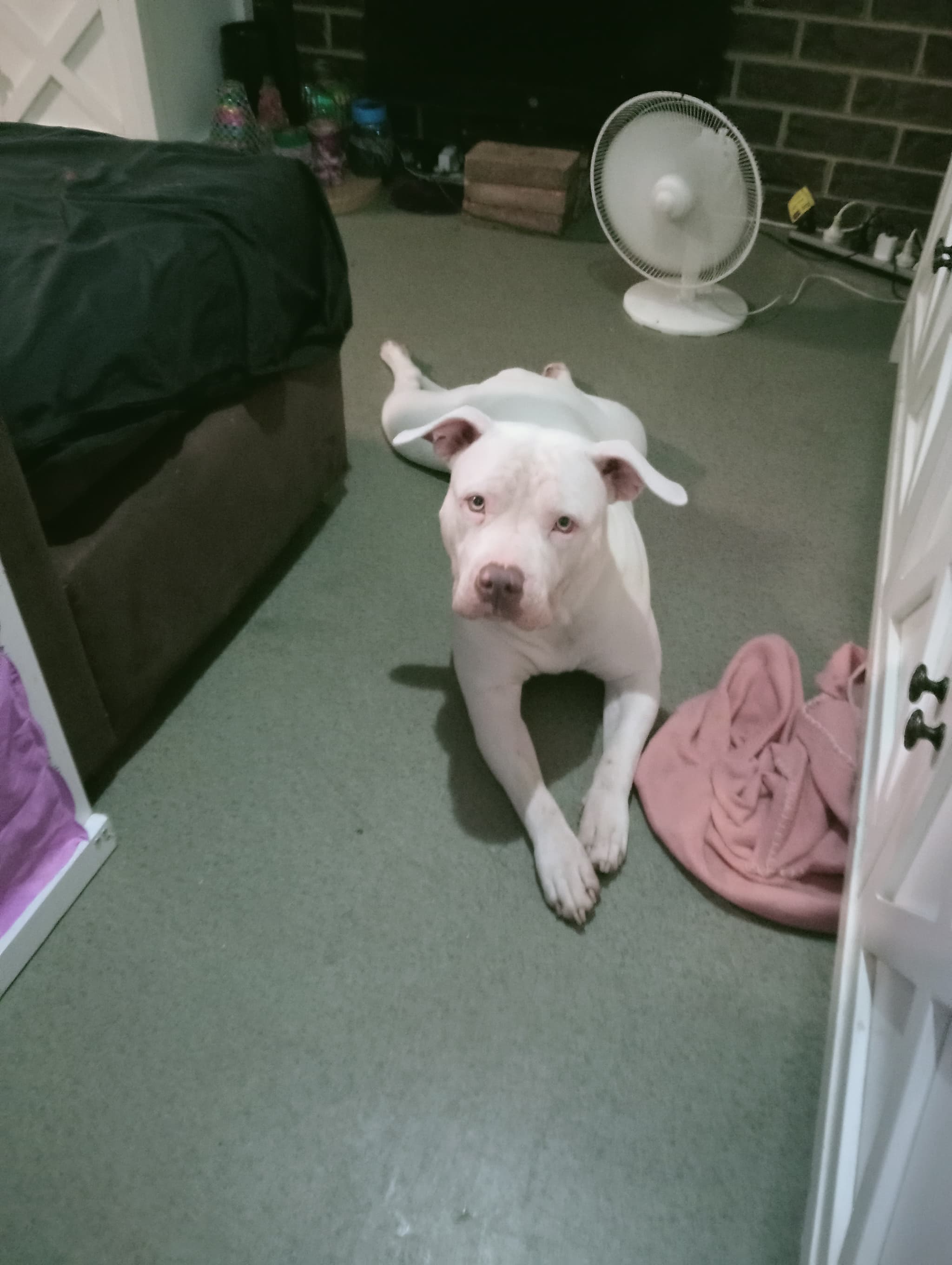 Help Narla please 