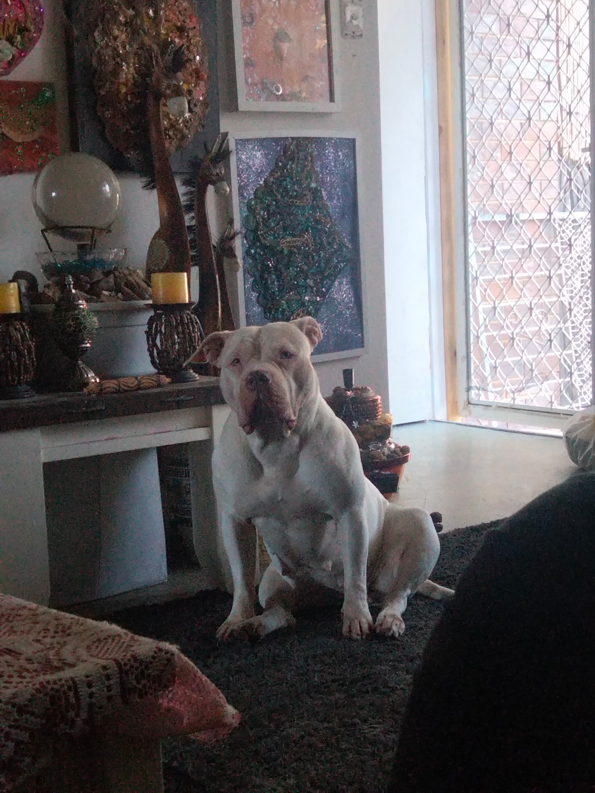 Narla