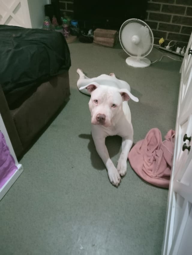 Help Narla please